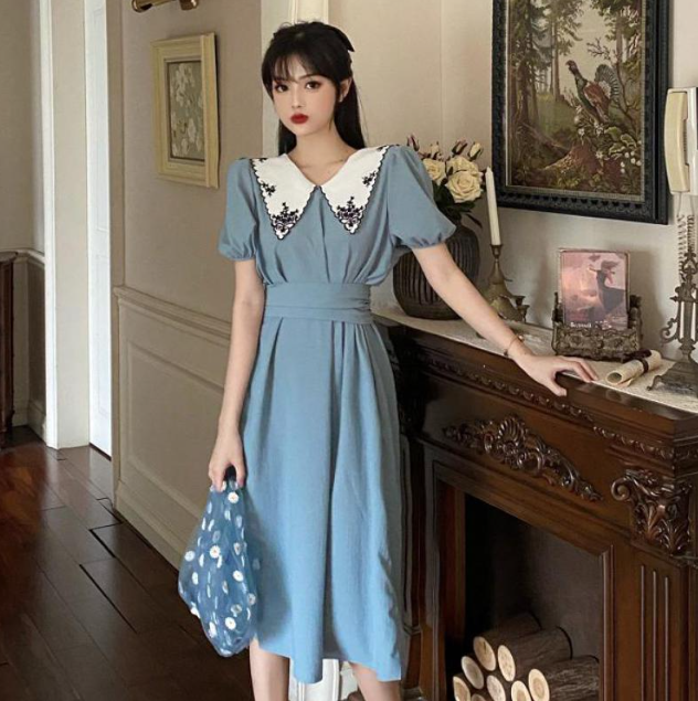 Vintage Elegant Party Dress