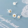 Sweet Daisy Flowers Stud Earrings